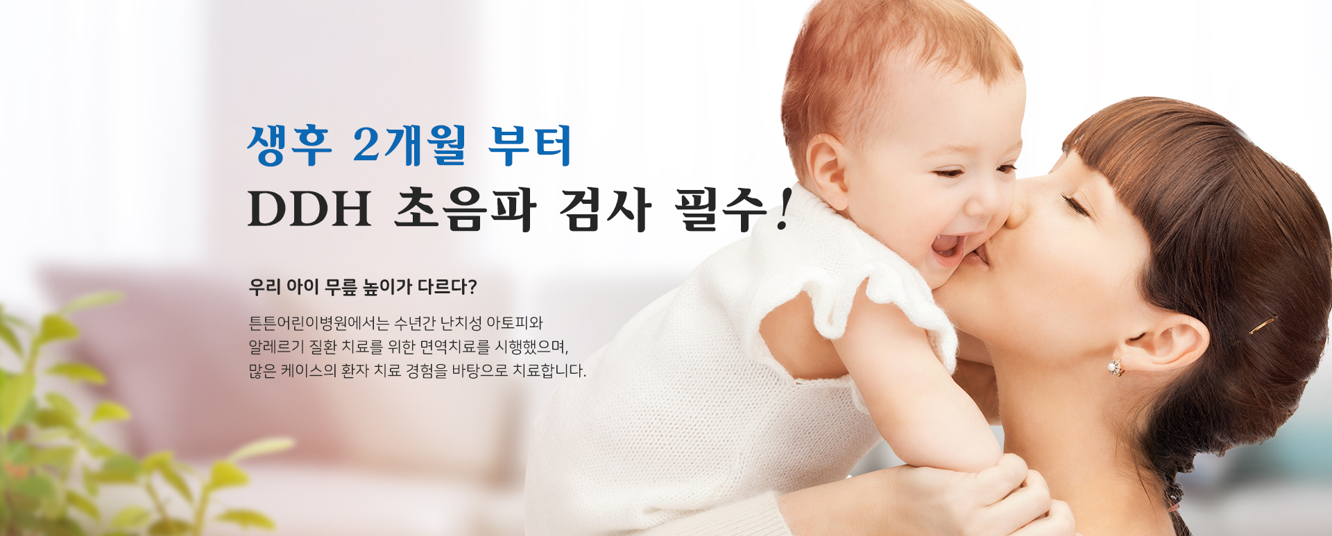DDH 초음파